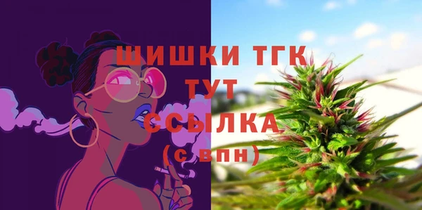 гидра Краснослободск
