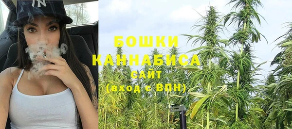 гидра Краснослободск