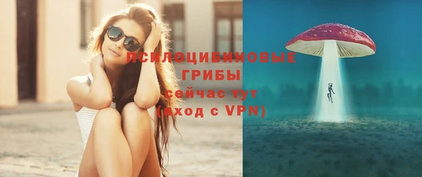 соль ск Краснотурьинск
