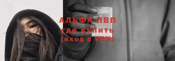 гидра Краснослободск