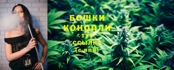 гидра Краснослободск