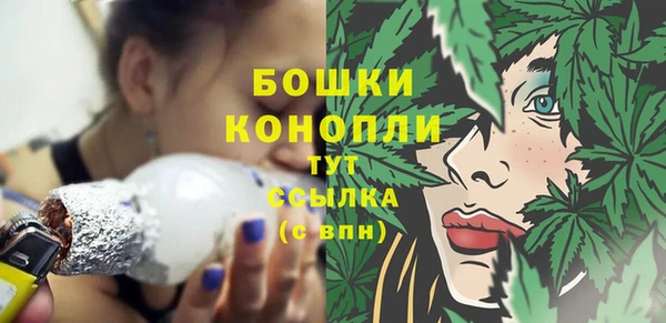 гидра Краснослободск