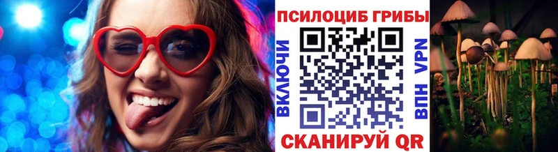 Галлюциногенные грибы Cubensis Купить закладки Ленск